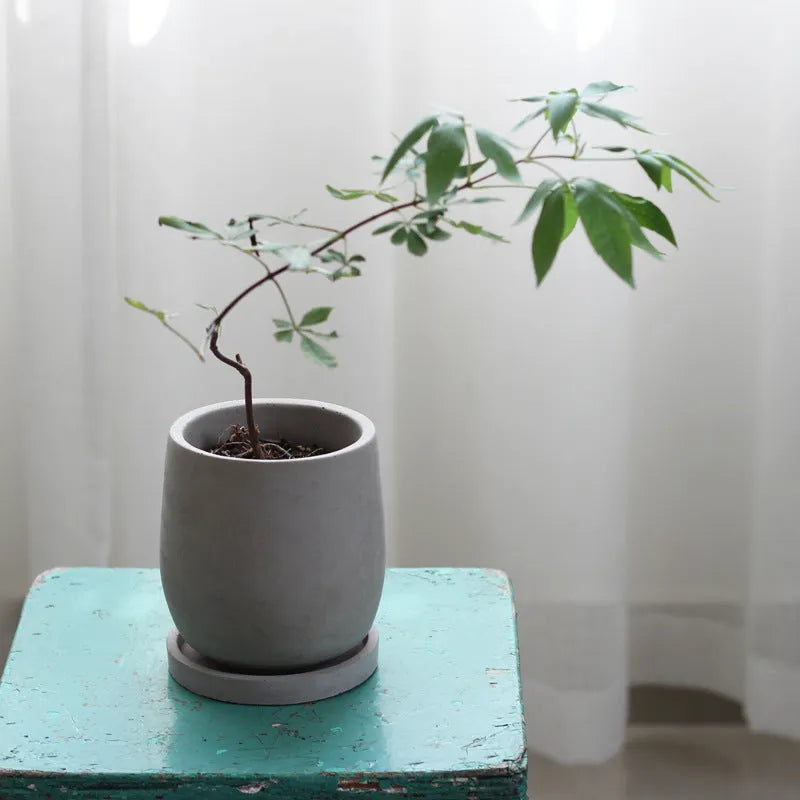 Round cement flower pot 11cm natural colour Chinese style desktop planter with tray