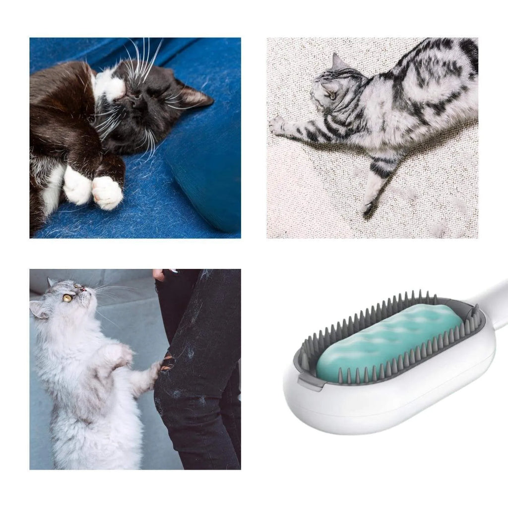 4-in-1 cat grooming brush with water tank, ABS teeth and silicone pad, blue or pink, 190mm
