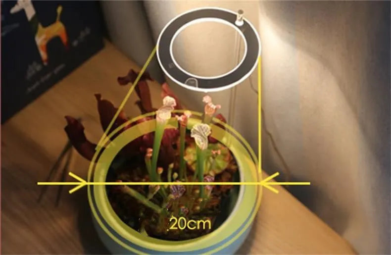 USB LED grow light with transparent housing and 25cm acrylic stick for indoor plants
