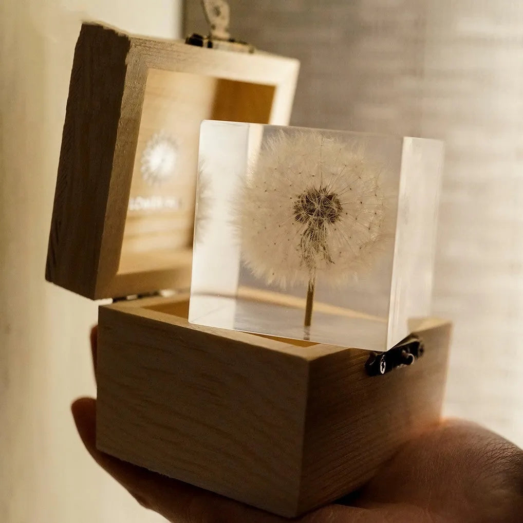5cm transparent resin cube containing real preserved dandelion flower with USB charging base