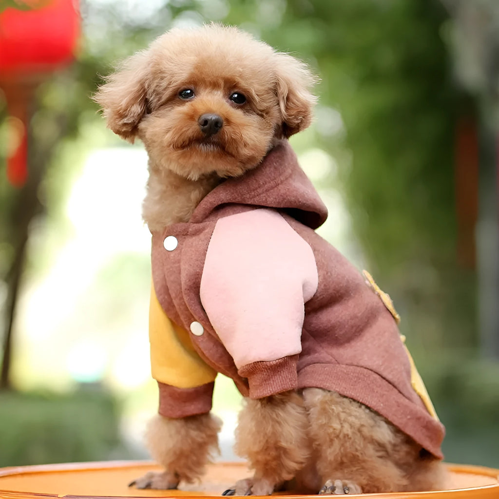 A brown cotton sweatshirt for a dog, showing a leisure-style pet garment.