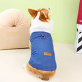 Dark blue denim cotton coat for corgi dog on mannequin showing size and jacket style