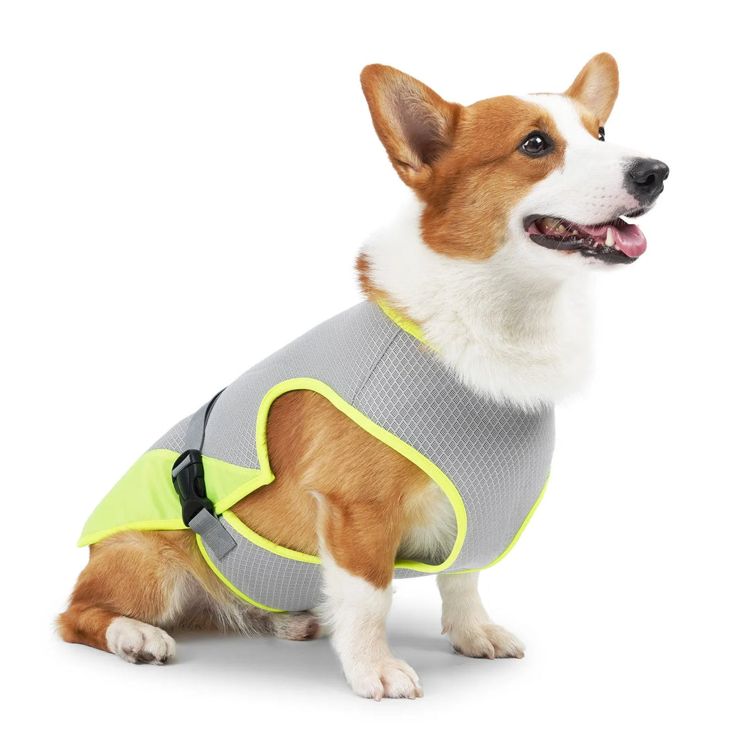 Dog wearing grey cooling vest with breathable mesh fabric for heatstroke prevention