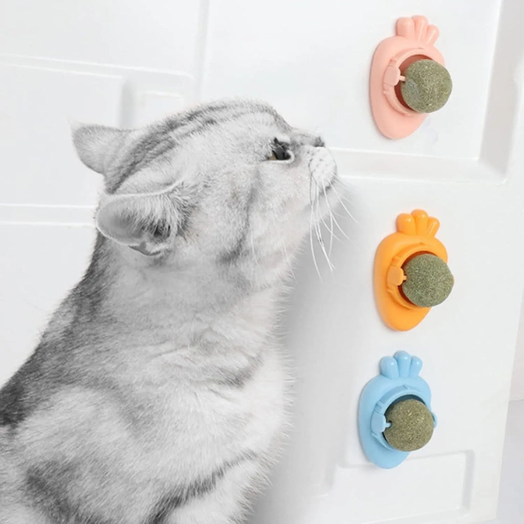 Blue carrot-shaped catnip ball toy with self-adhesive backing for wall mounting and cat teeth cleaning