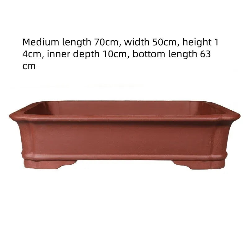 Large rectangular purple clay flowerpot shown on a patio, suitable for bonsai or large plants.