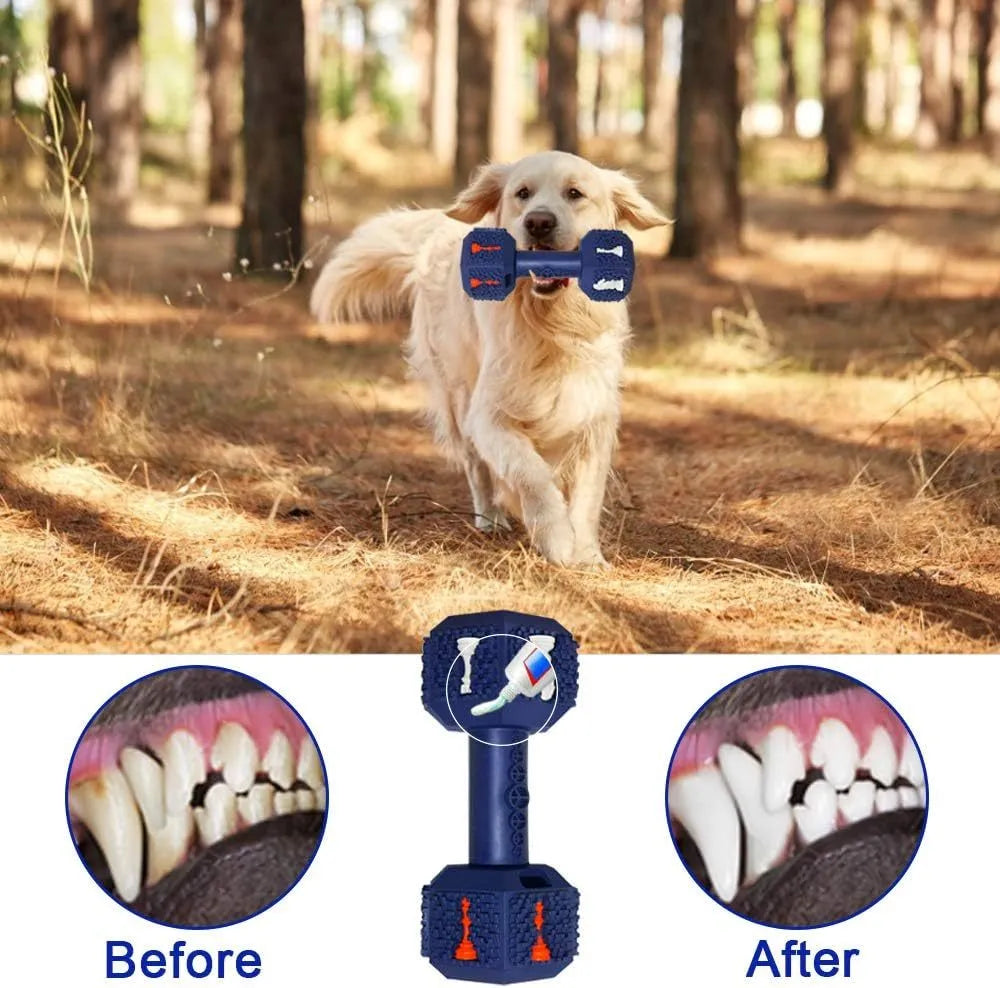 Black or blue hollow dumbbell-shaped dog chew toy with a textured surface for aggressive chewers.