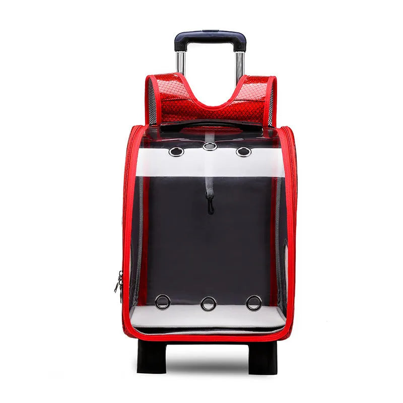 Transparent pet trolley with folding shoulder design in blue colour for small dog and cat transport