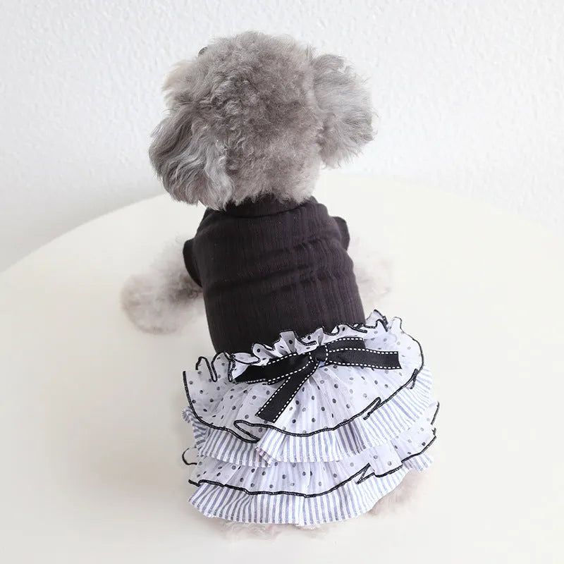 Polka dot lace cake dress pet clothes in taro purple, charcoal black or iced coffee, sizes XS to XL