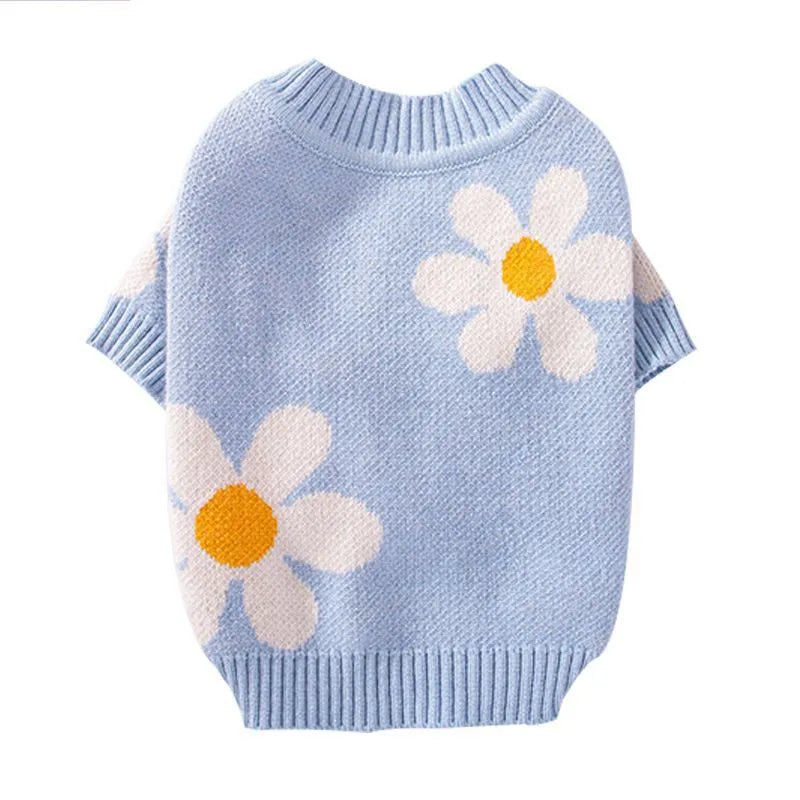 Blue hooded polyester sweater on a small dog, showing autumn winter pet coat design.