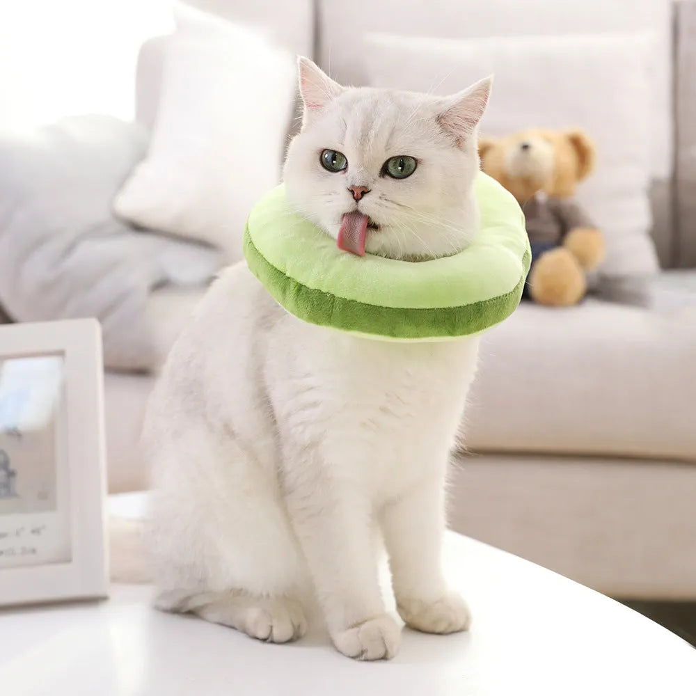 Cat wearing plush toast headdress collar with soft fabric, chain strap, side view on white background