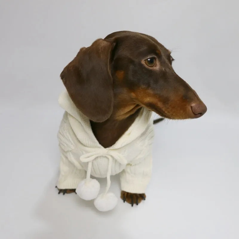 Two-leg hooded sweater for dogs in beige with hood and blended fabric