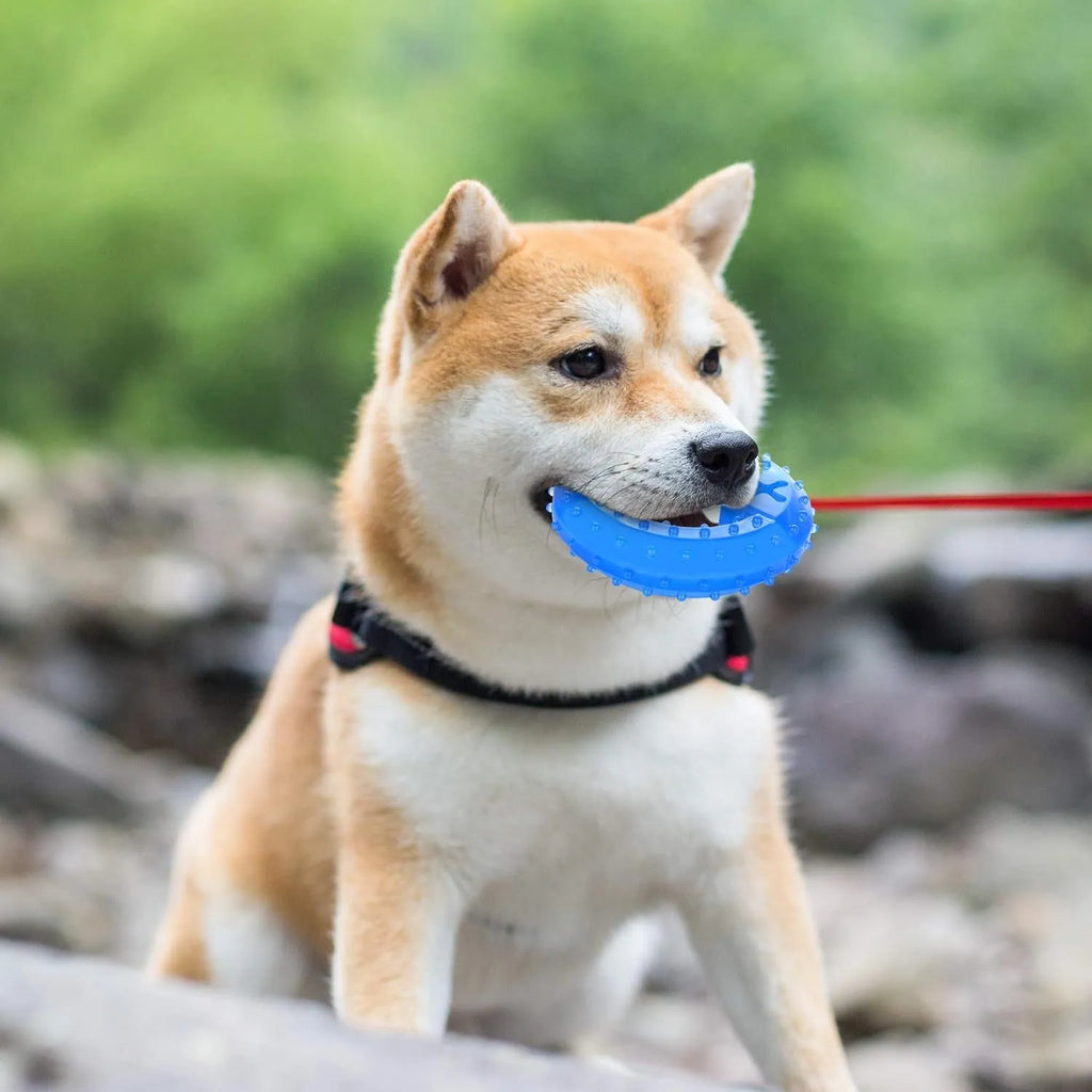 A non-toxic freezable dog chew toy for teething puppies and dogs, shown with a thickened outer design.