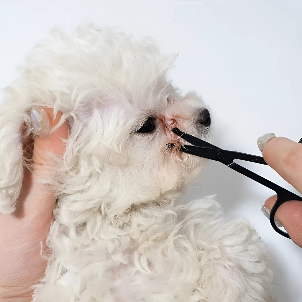 Black ambidextrous pet grooming brush with soft rubber bristles for gentle eye cleaning and hair removal on dogs and cats.