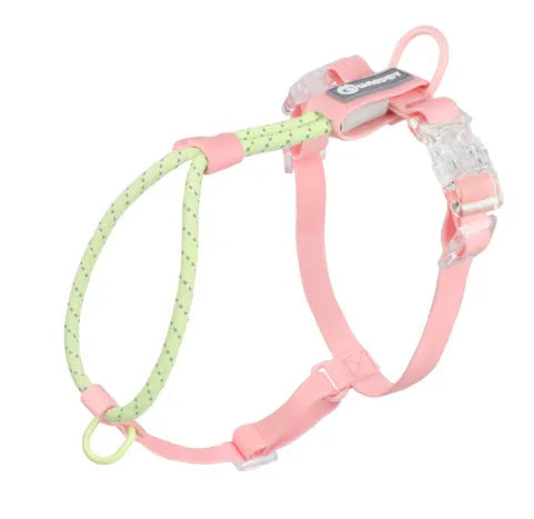 Dark Red Purple Yellow PVC dog leash held in a hand, showing the 120cm length and hand loop