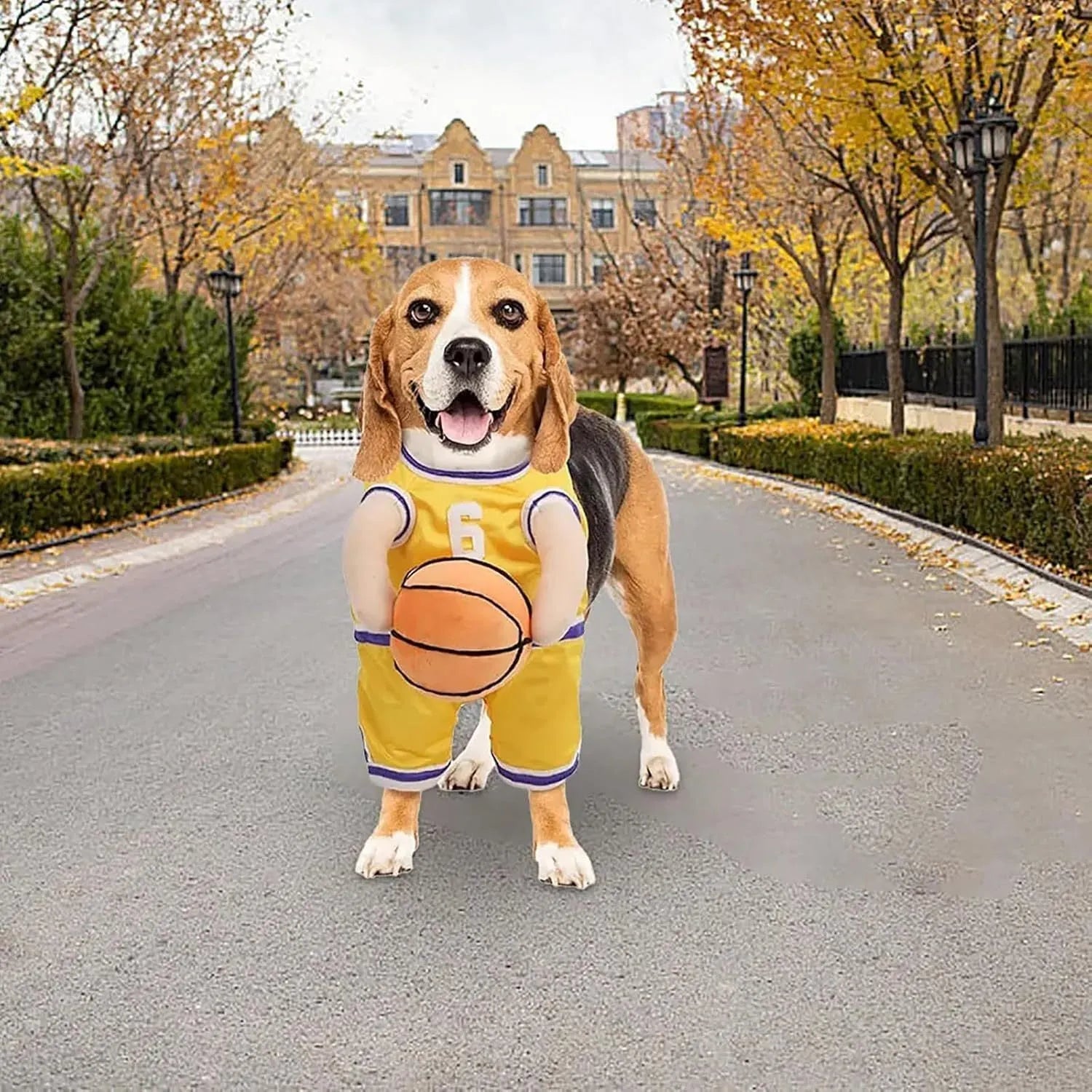 Small dog wearing red basketball player costume with padded arms and a bouncing basketball accessory