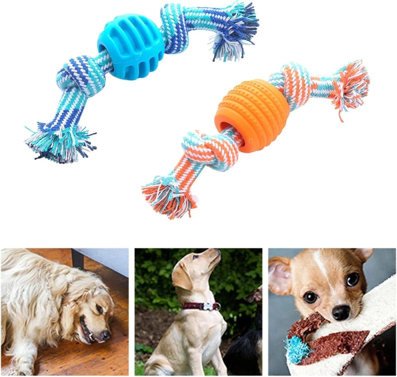 Blue molar-shaped nylon dog chew toy with green rope arms on a white background