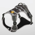Reflective orange dog harness with chest and back rope attachments and a hand-holding lead.