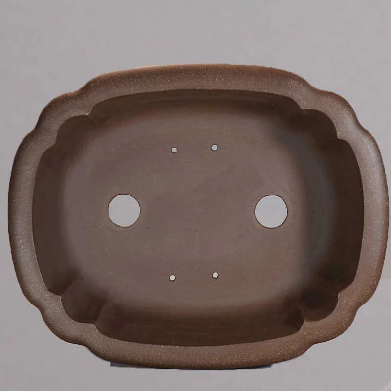 Handmade purple sand rectangular antique begonia flower pot on a desktop.