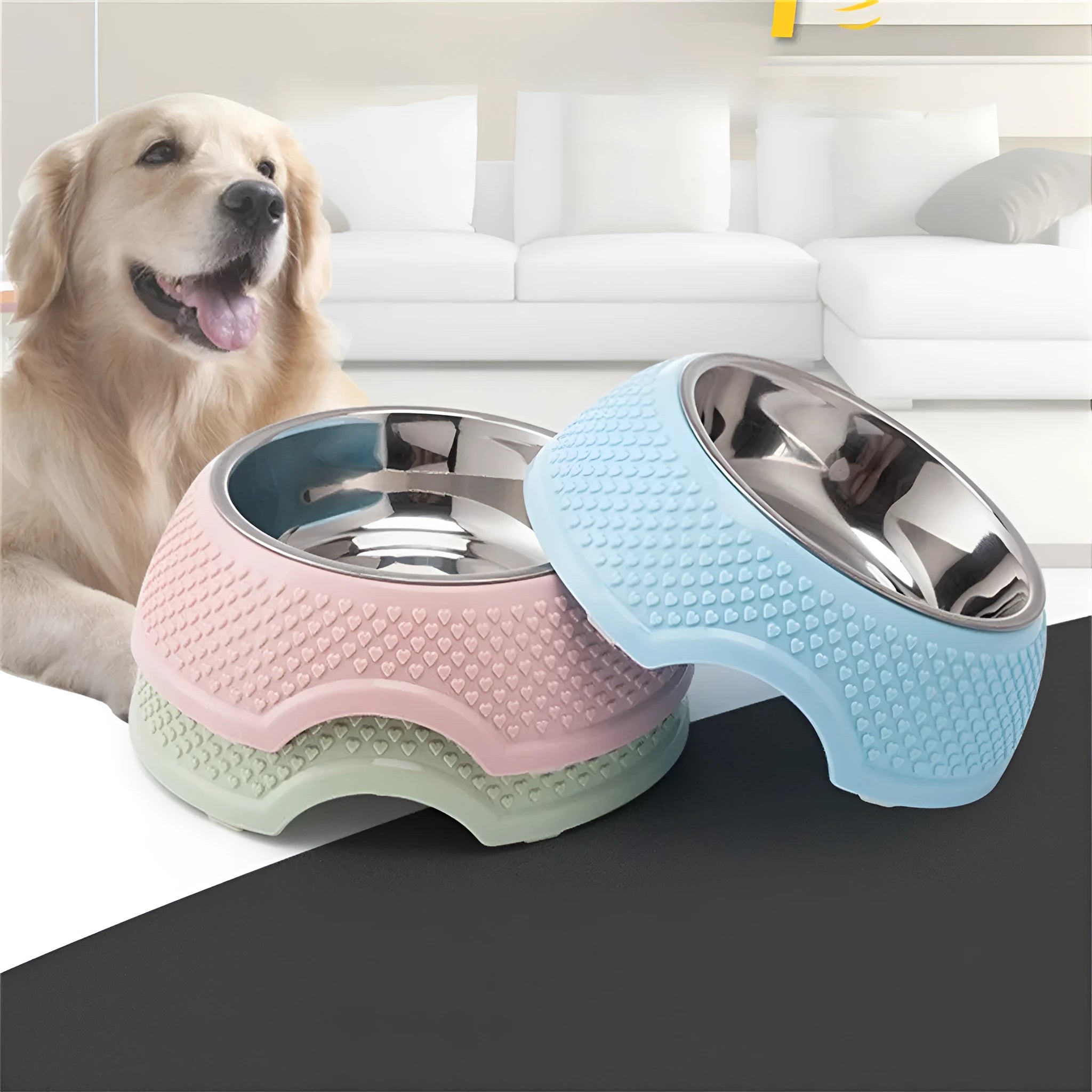 Stainless steel pet bowl with coloured non-slip base in blue, green, or pink.