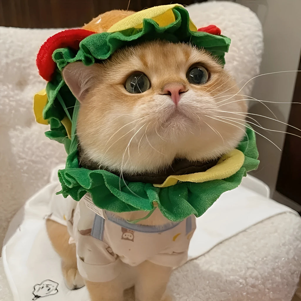 Burger headdress collar for cats in cartoon style with adjustable sizing for pet dress-up