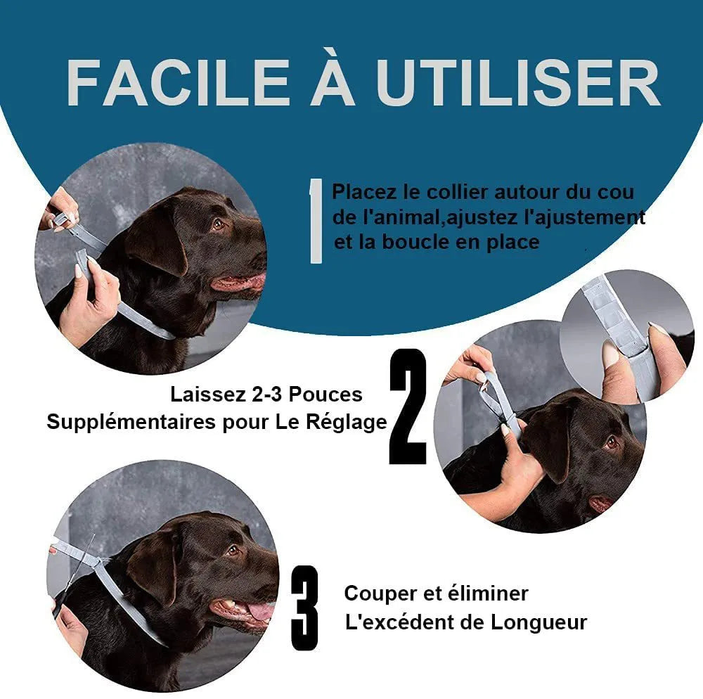 Plastic flea and anti-lice collar for pets in rainbow packaging, showing cat and dog size options.