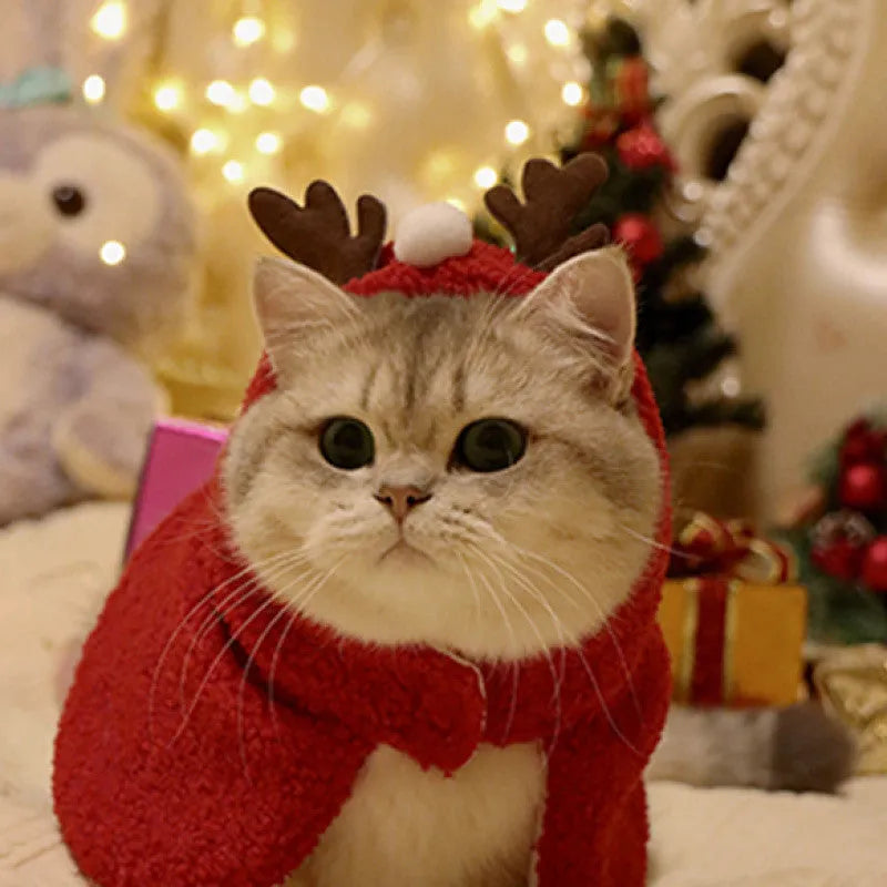 Red polar fleece pet cloak with attached antlers on a small dog, showing the full festive costume.