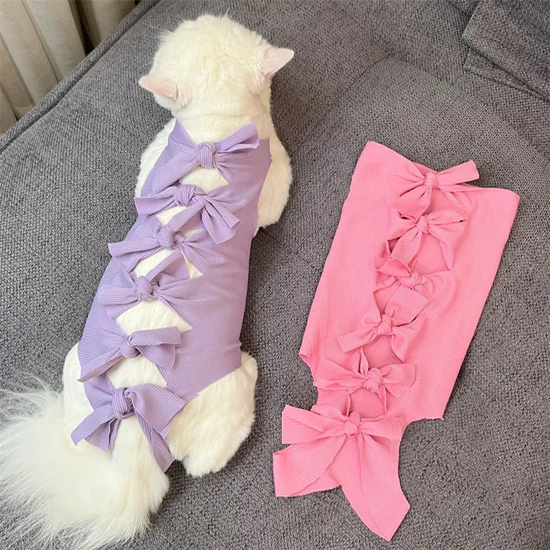 Lace-up cat sterilisation recovery suit in blue, shown on a cat, with back ties and tail hole visible.