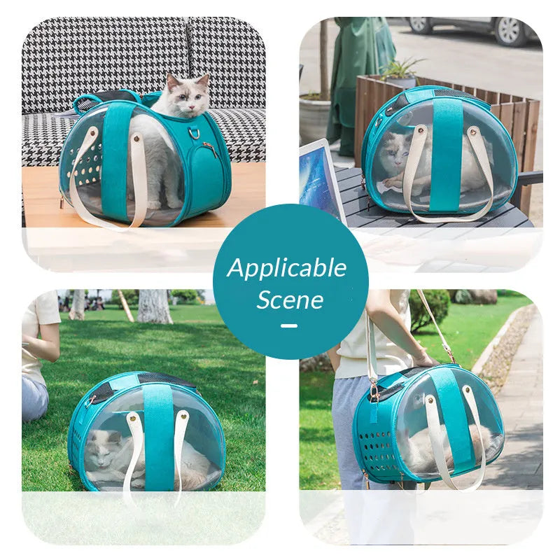 Double Fish transparent PVC pet backpack carrier for small dogs and cats with locking mechanism and ventilation holes, sky blue colour