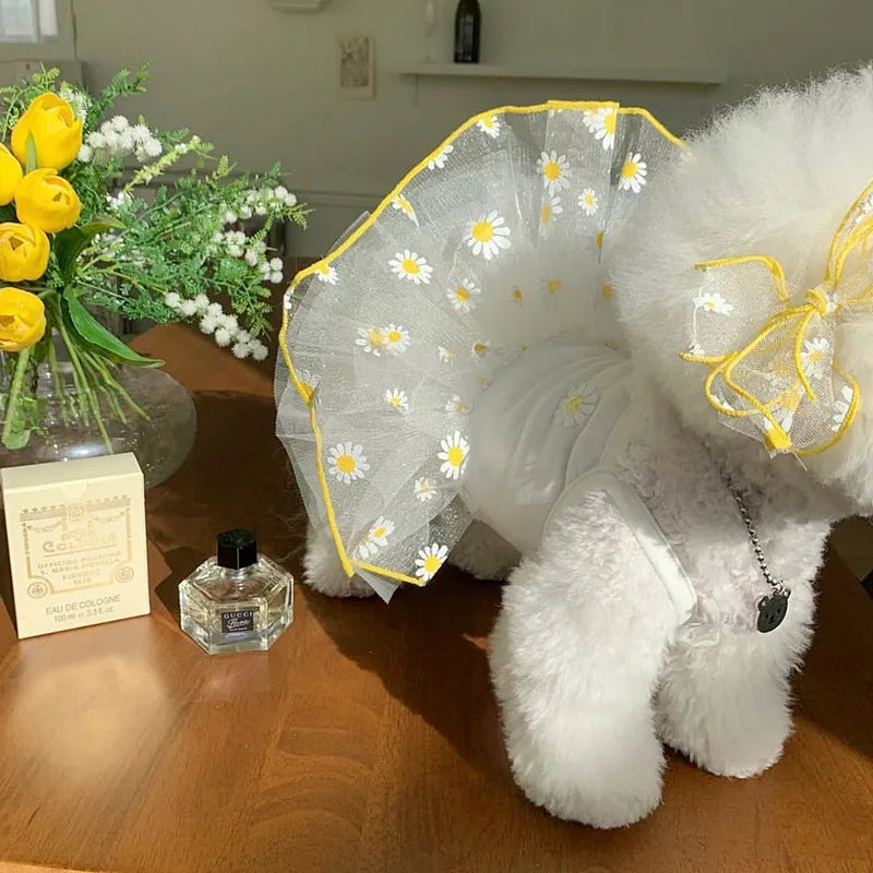 Yellow daisy pattern dog clothes on pet model showing thin polyester summer construction