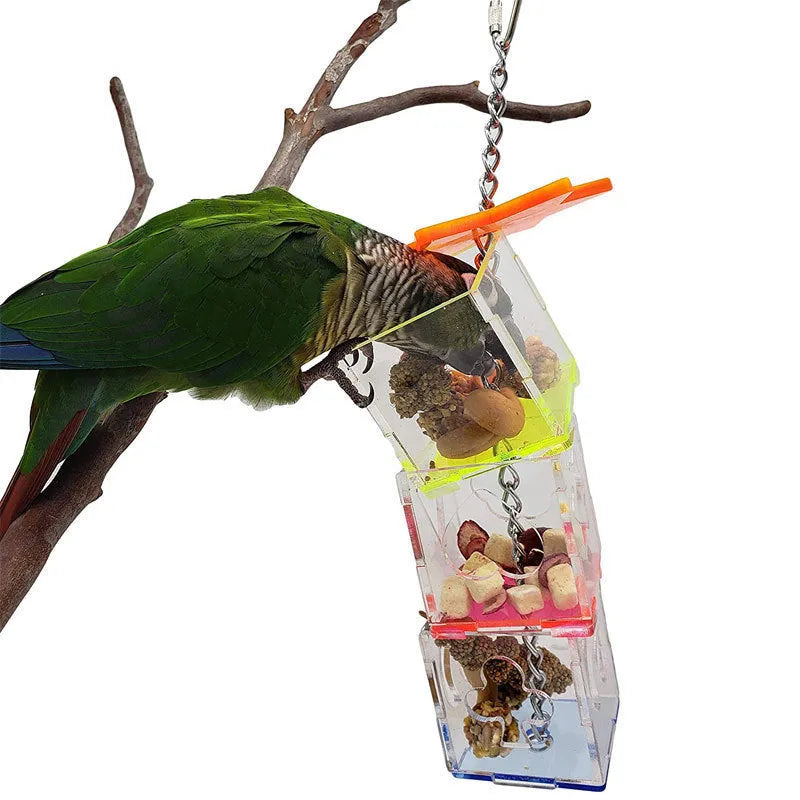 Clear acrylic parrot foraging toy with treats visible inside, 32 cm long bird enrichment device