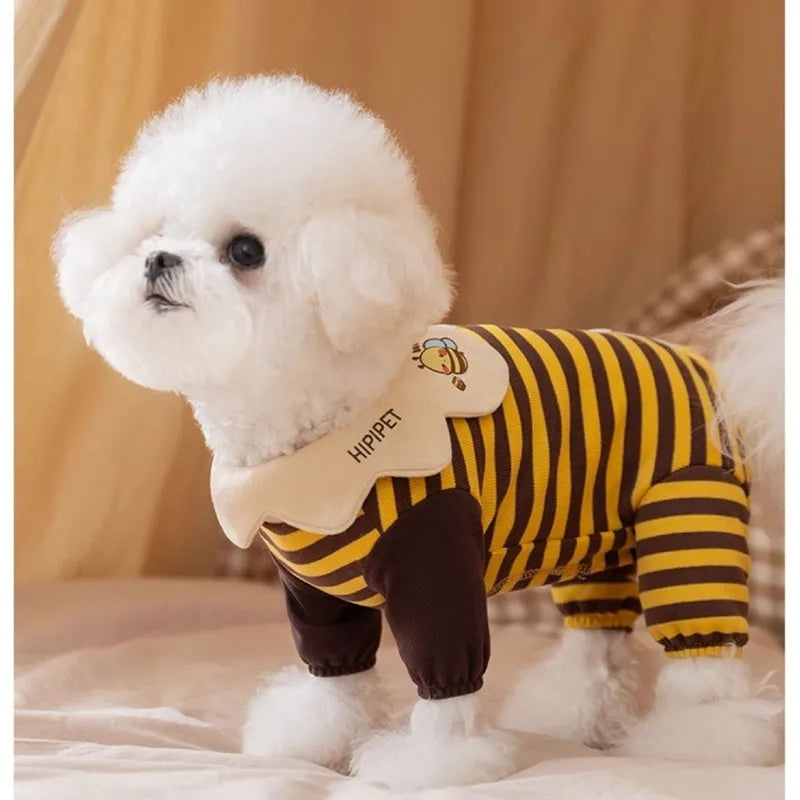 Yellow dog pajamas with bee pattern and lapel on small dog standing indoors