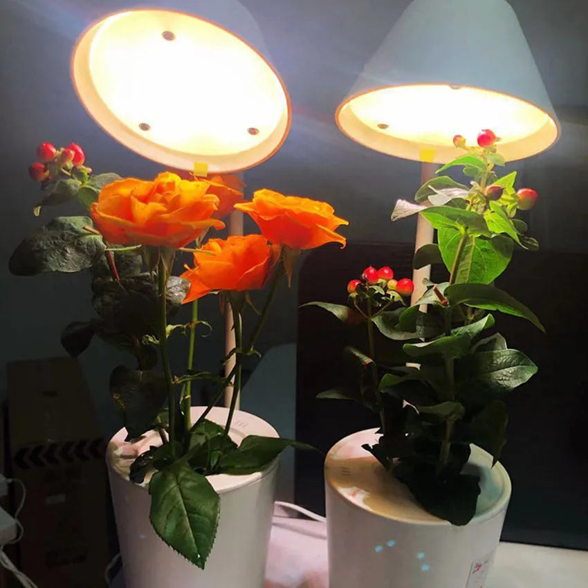 White plastic hydroponic growing machine for desktop soilless plant cultivation
