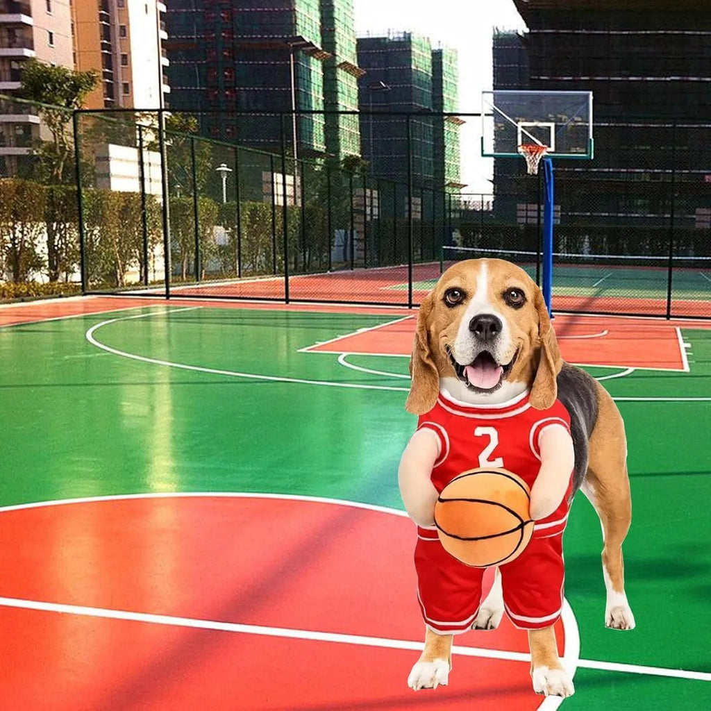 Small dog wearing red basketball player costume with padded arms and a bouncing basketball accessory