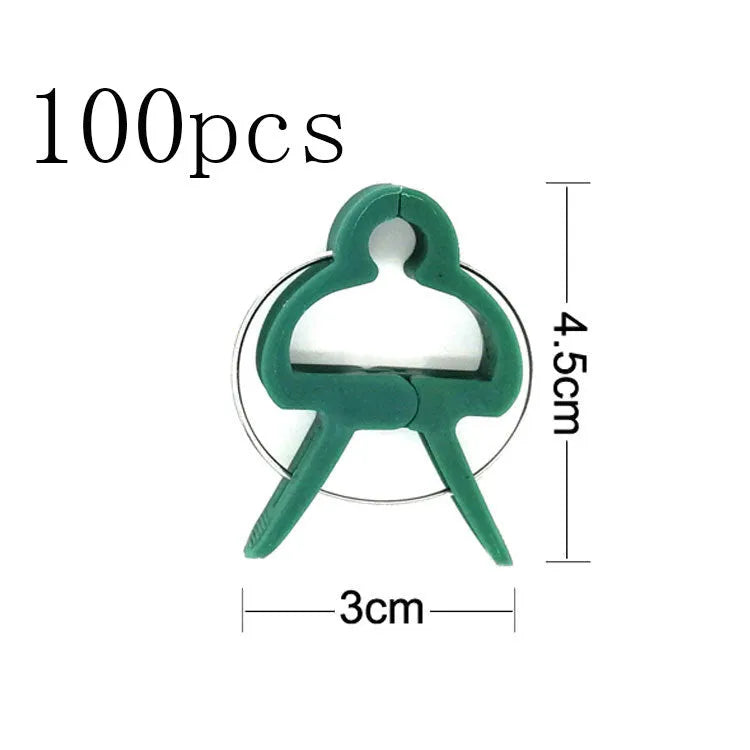 Green plastic and zinc plant fixing clips for supporting climbing tomato and cucumber vines.