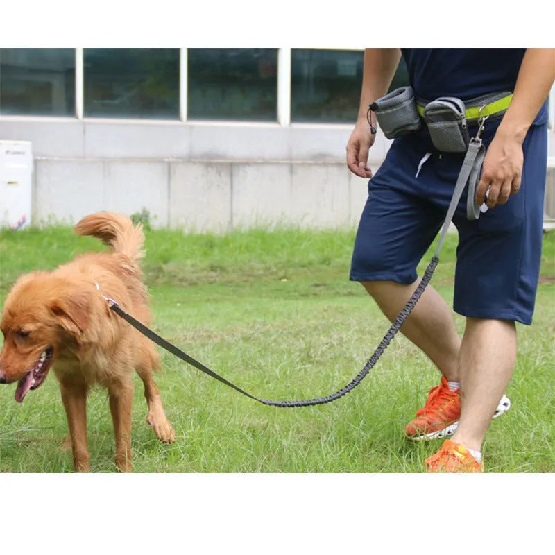 Adjustable hands-free dog leash set with 144cm nylon rope, 78-110cm waist belt, waist bag, and sundries bag