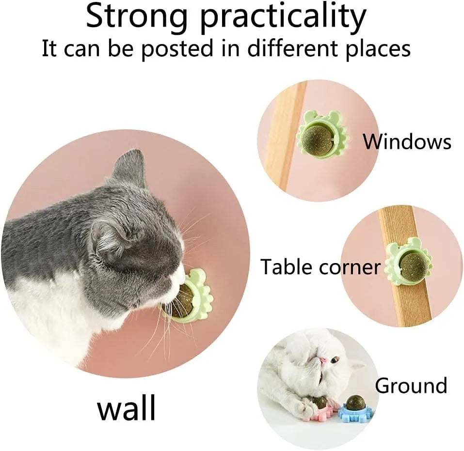 Catnip wall ball toy with three removable catnip balls in a wall-mounted rotatable holder, shown in Blue, Green and Pink.