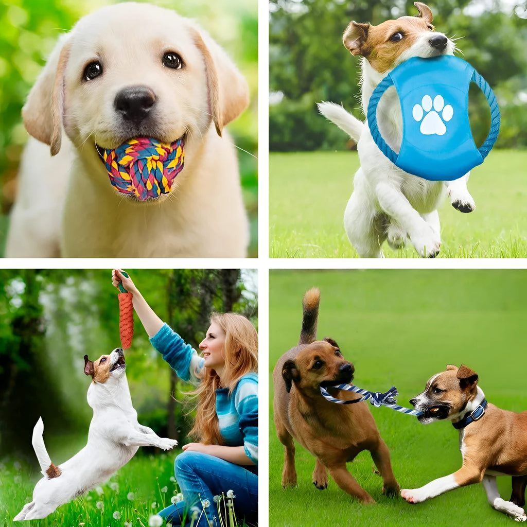 Pink five-piece dog toy set with cotton rope toys, corn cob and 6cm or 8cm ball