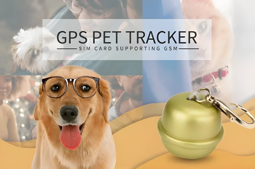 A waterproof GPS tracking collar for dogs on an adjustable nylon strap in various colours.