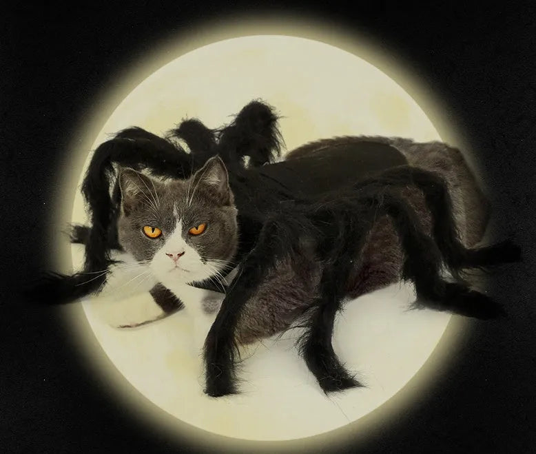 Black plush pet spider costume for dogs and cats, available in sizes S and M