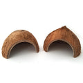 Natural coconut shell reptile hideout cave with entrance hole, placed on moss in a terrarium