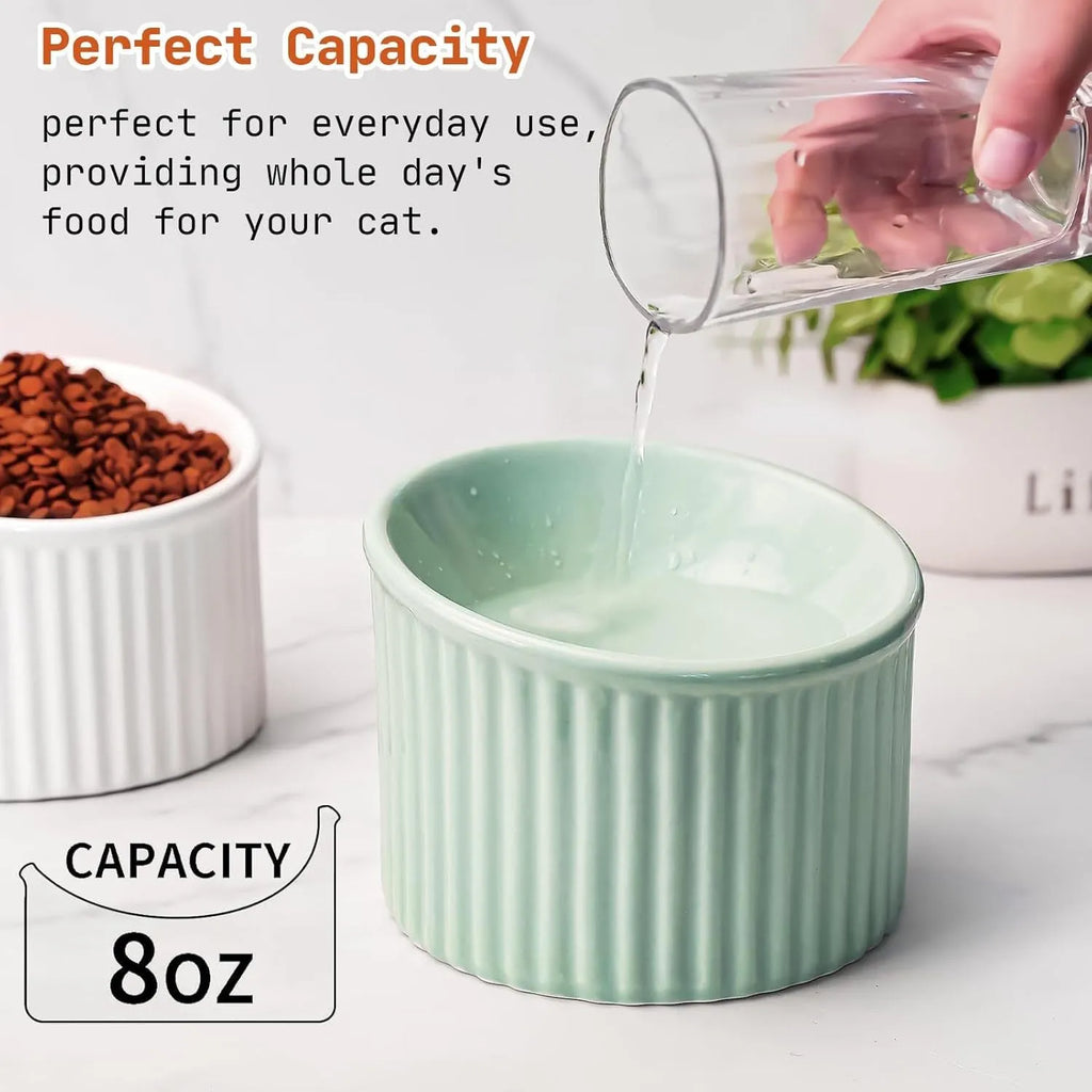 Elevated ceramic cat bowl in green colour showing raised design for feeding