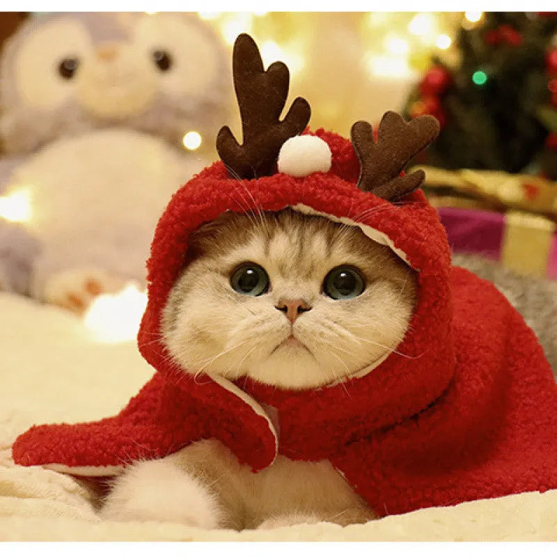 Red polar fleece pet cloak with attached antlers on a small dog, showing the full festive costume.