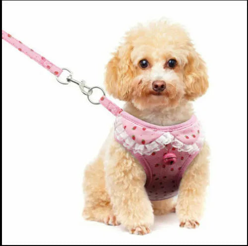 Pet cute chest strap breathable tank top style dog harness in fibre material