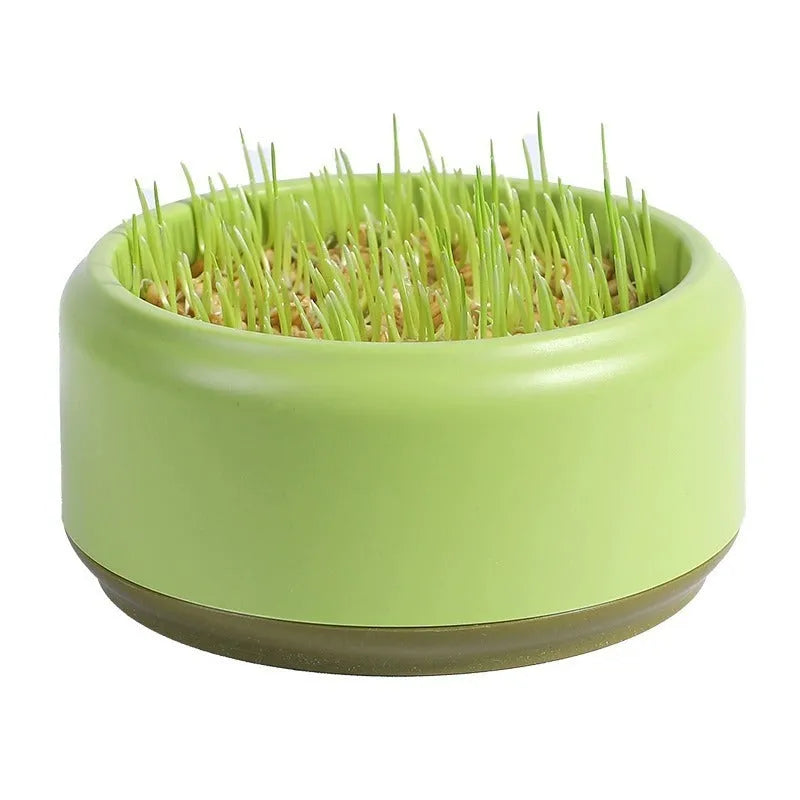 Blue hydroponic cat grass kit with planter cup and five packs of seeds.