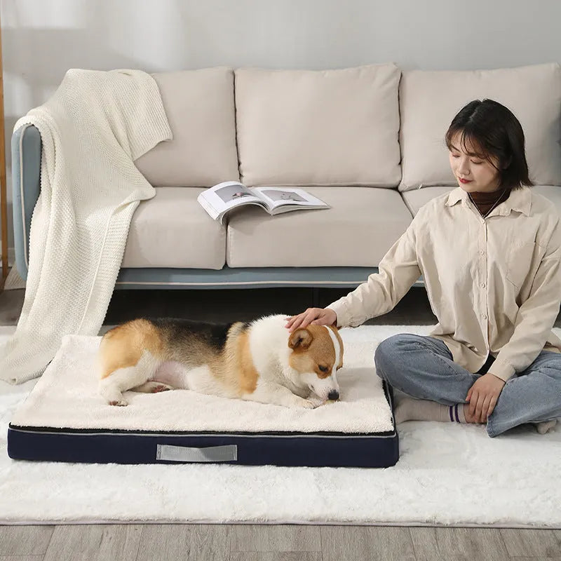 Removable washable memory sponge dog mat in brown, showing textured cover and size options.