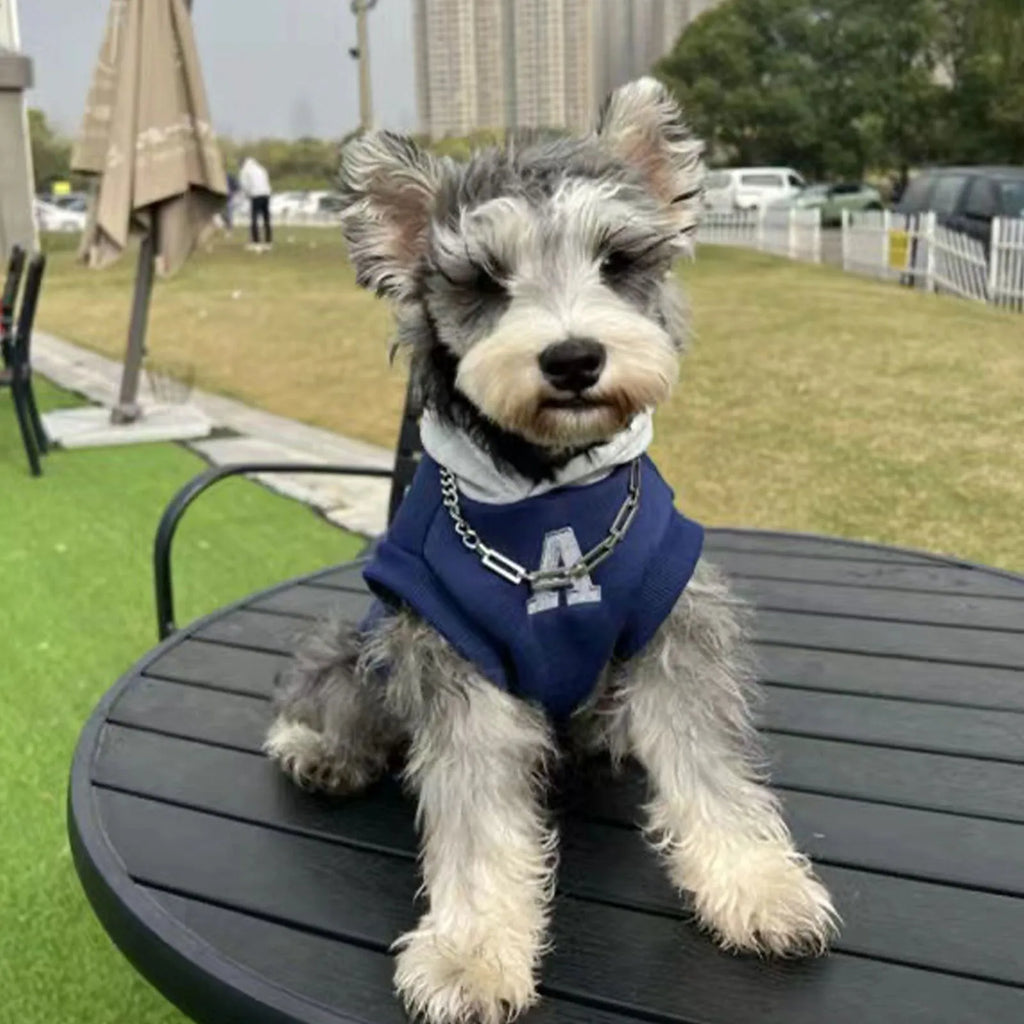 Blue and grey white slim-fitting pet hoodie with reflective letters for cats and dogs
