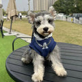 Blue and grey white slim-fitting pet hoodie with reflective letters for cats and dogs