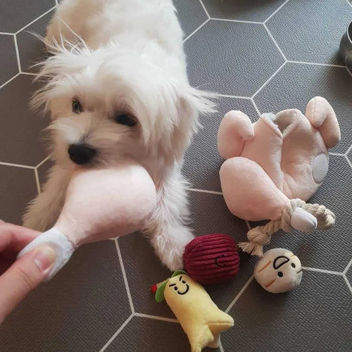 Cartoon plush chicken dog toy with removable jujube and ginseng sound parts plus teething rope on white background
