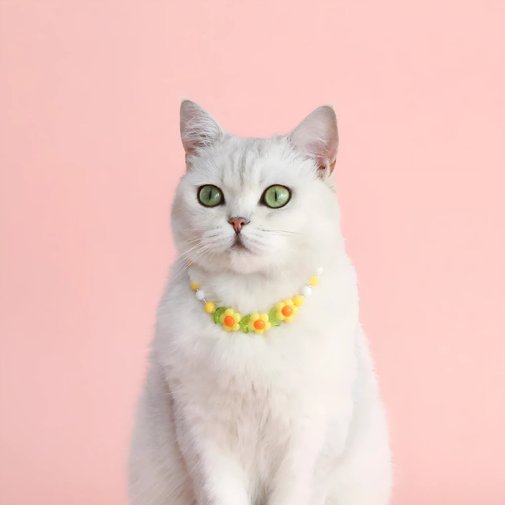 Colourful plastic bead cat necklace on a white background, showing peach, rainbow, and small flower pattern options.