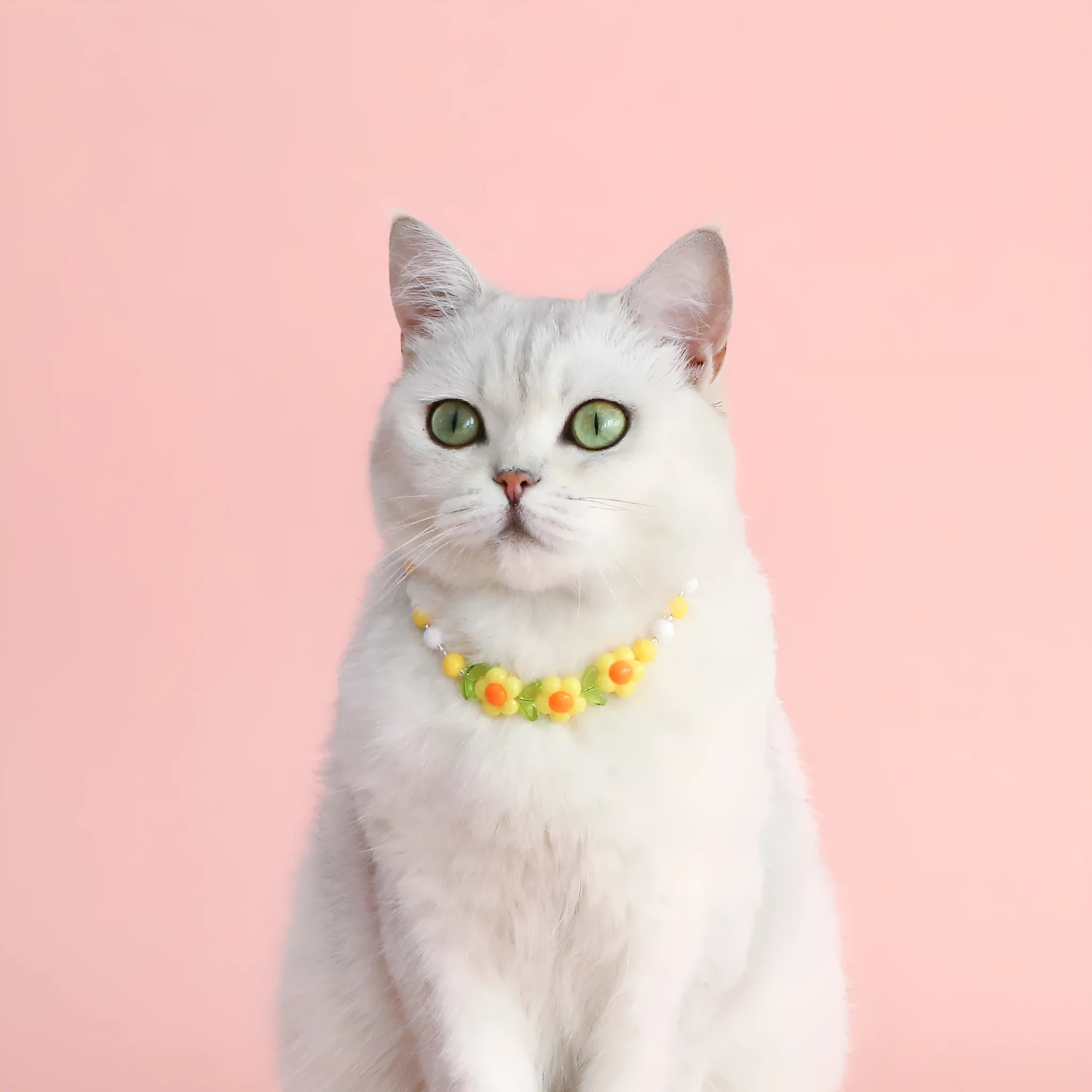 Colourful plastic bead cat necklace on a white background, showing peach, rainbow, and small flower pattern options.